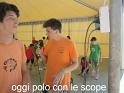 Grest_2011-14-7 001